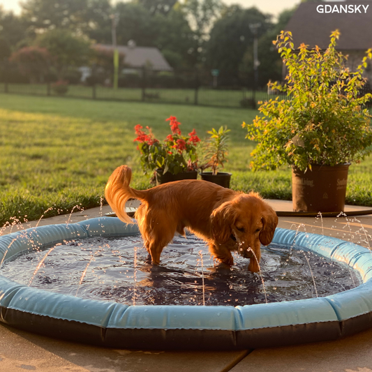 Gdansky™ Splash Pads